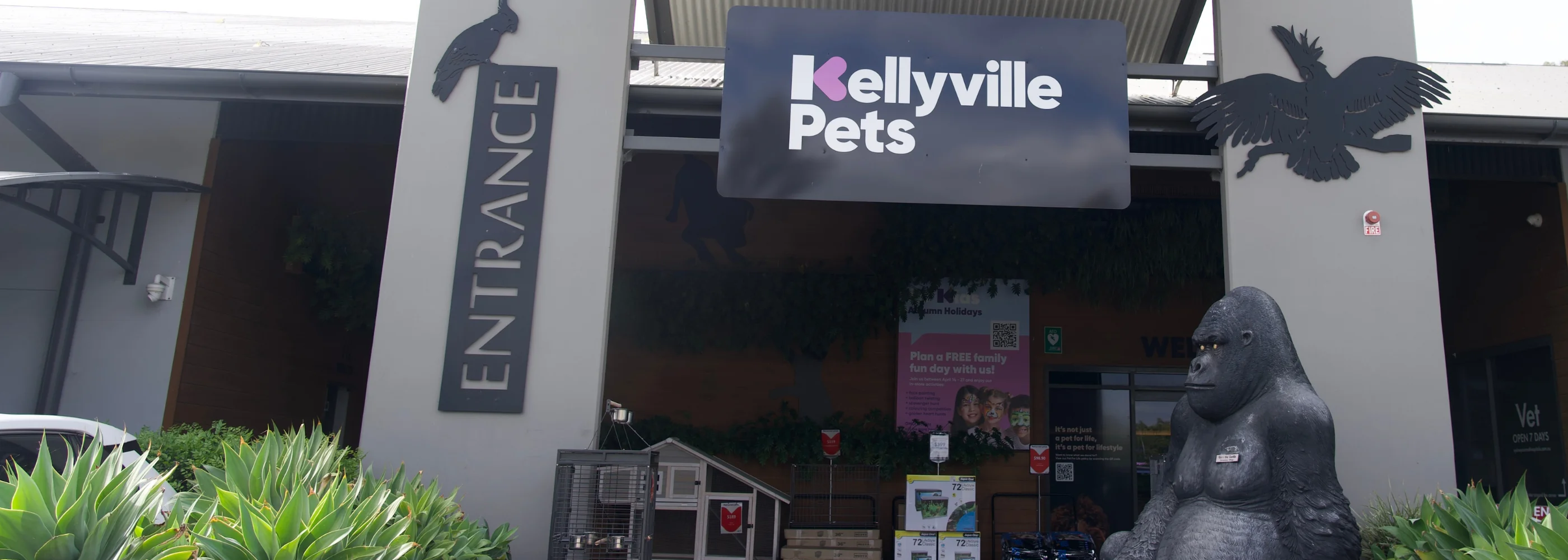 Unleash Style for Every Pet