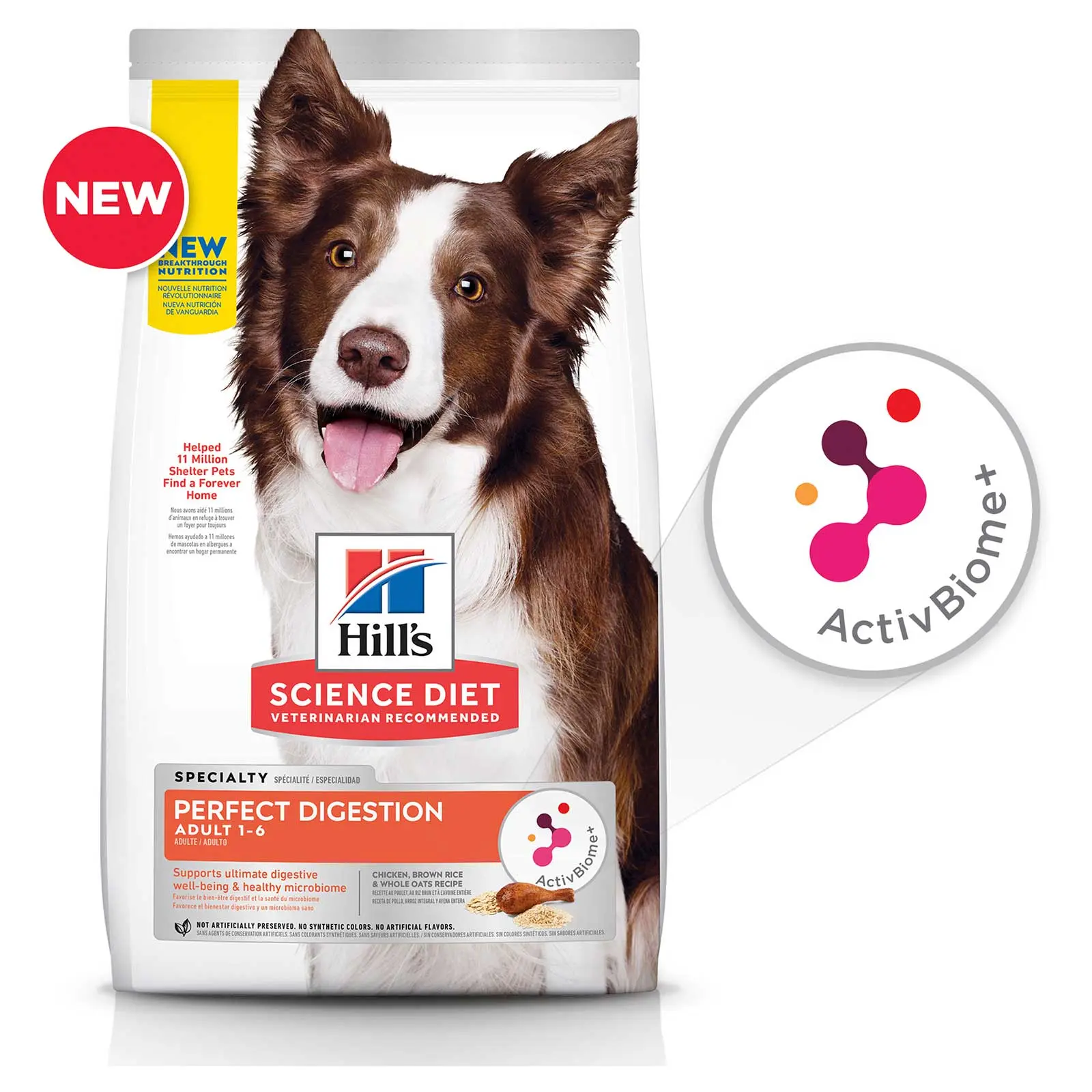 Thumbnail 13